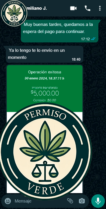 whatsapp_chat (1)