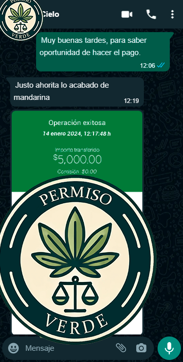 whatsapp_chat (5)